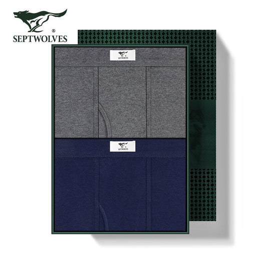 New Men's Long Johns 2 Boxes 100% Cotton High Quality Inner Wear Thin Thermal Leggings Stretch Comfort Home Men's Thermal Pants