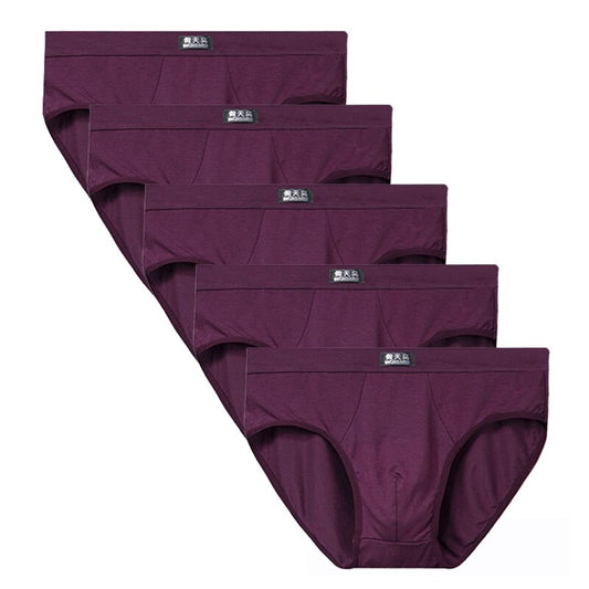 5pcs/Lot 5XL Modal Men's Underwear Briefs Male Underpants for Men Brief Panties Mens shorts Bikini Pant Men Sexy Solid comfort