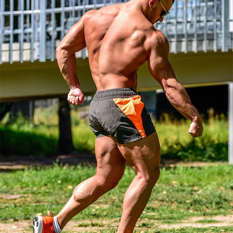 41683785449608|41683785482376|41683785515144|41683785547912