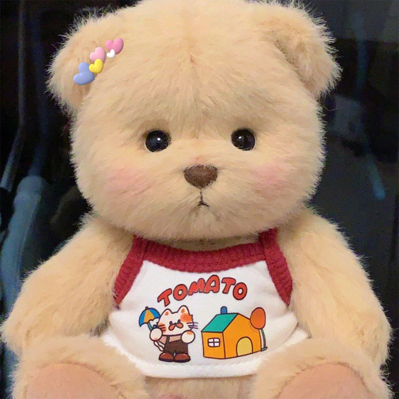 30cm Lina Bear Doll Big Baby Cute Plush Toys Lovely Clothes Bear Dolls Gifts for Girls Children Kids Birthday Christmas Gift