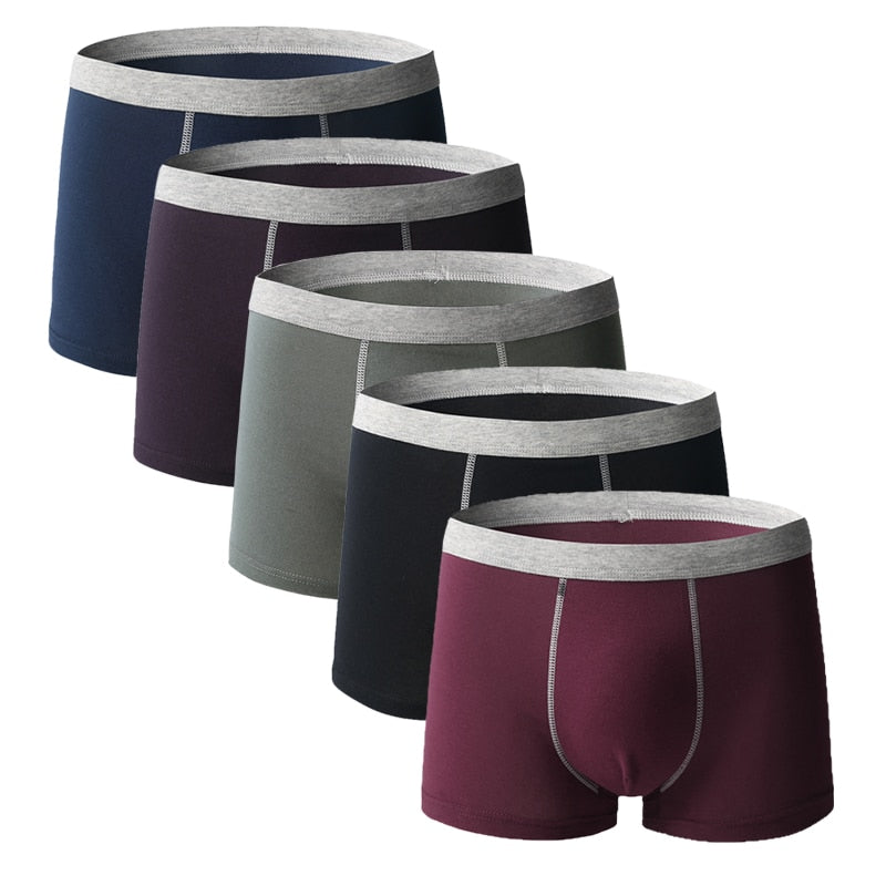 5pcs/lot Men Underwear Boxer Homme Boxershorts Men Underpants Boxer Shorts Men Panties Breathable Boxer Homme Cotton Comfort New