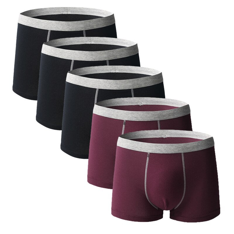 5pcs/lot Men Underwear Boxer Homme Boxershorts Men Underpants Boxer Shorts Men Panties Breathable Boxer Homme Cotton Comfort New