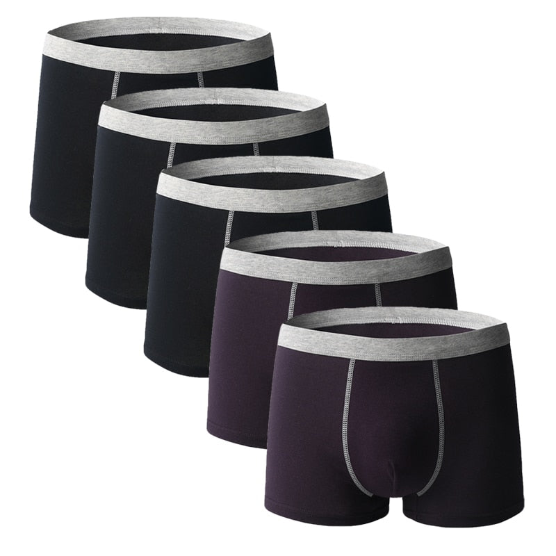 5pcs/lot Men Underwear Boxer Homme Boxershorts Men Underpants Boxer Shorts Men Panties Breathable Boxer Homme Cotton Comfort New
