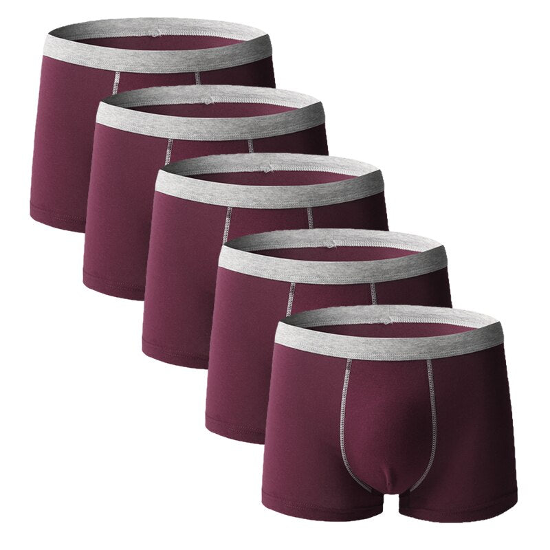 5pcs/lot Men Underwear Boxer Homme Boxershorts Men Underpants Boxer Shorts Men Panties Breathable Boxer Homme Cotton Comfort New