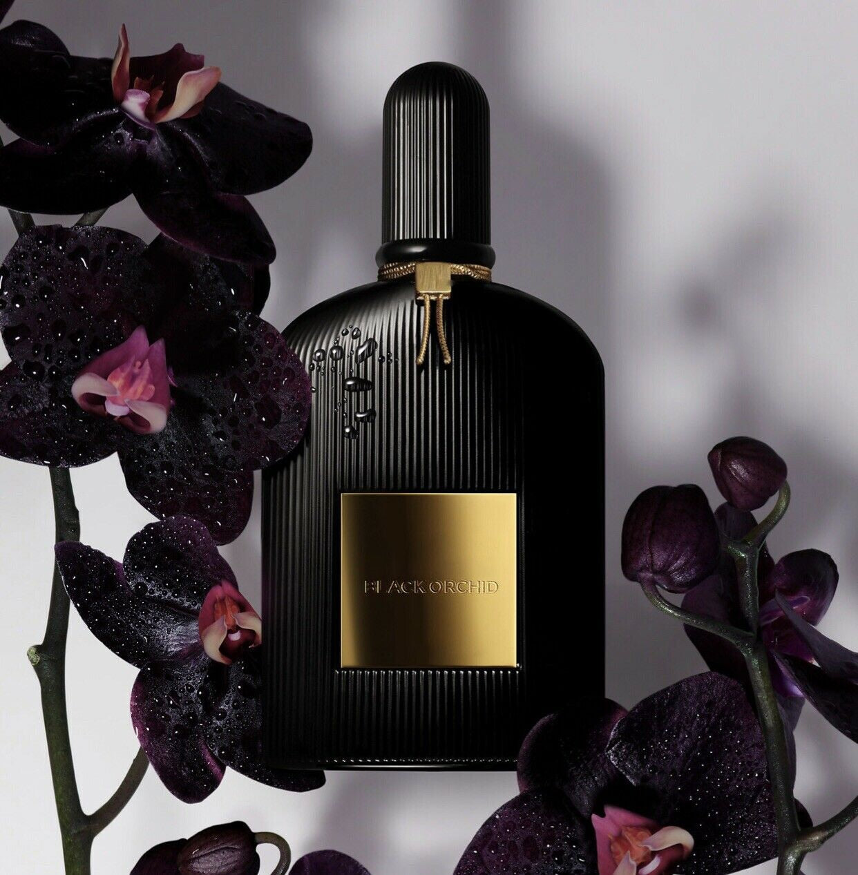 High Quality Perfume Velvet Orchid Perfum Pour Femme Fragrances for Women Woman Deodor Spray Perfume
